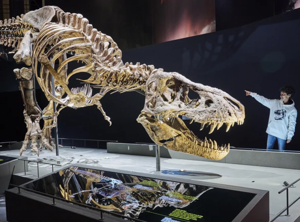 Naturalis