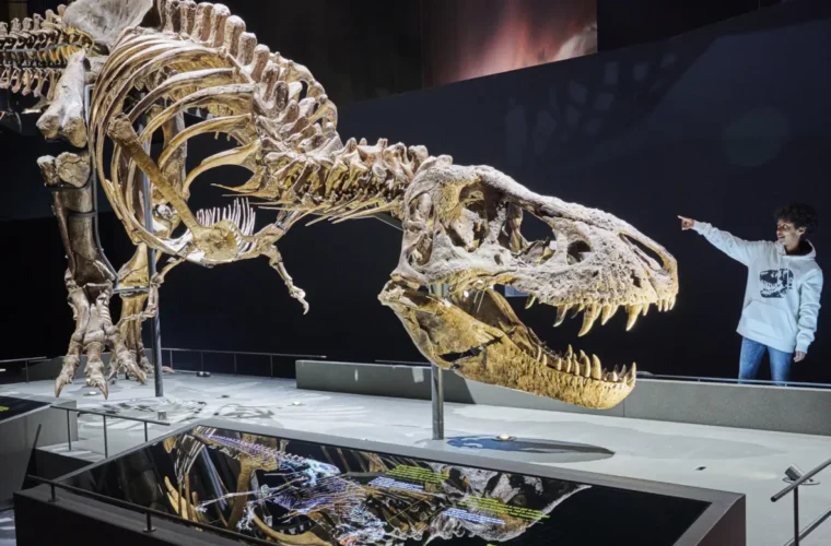 Naturalis